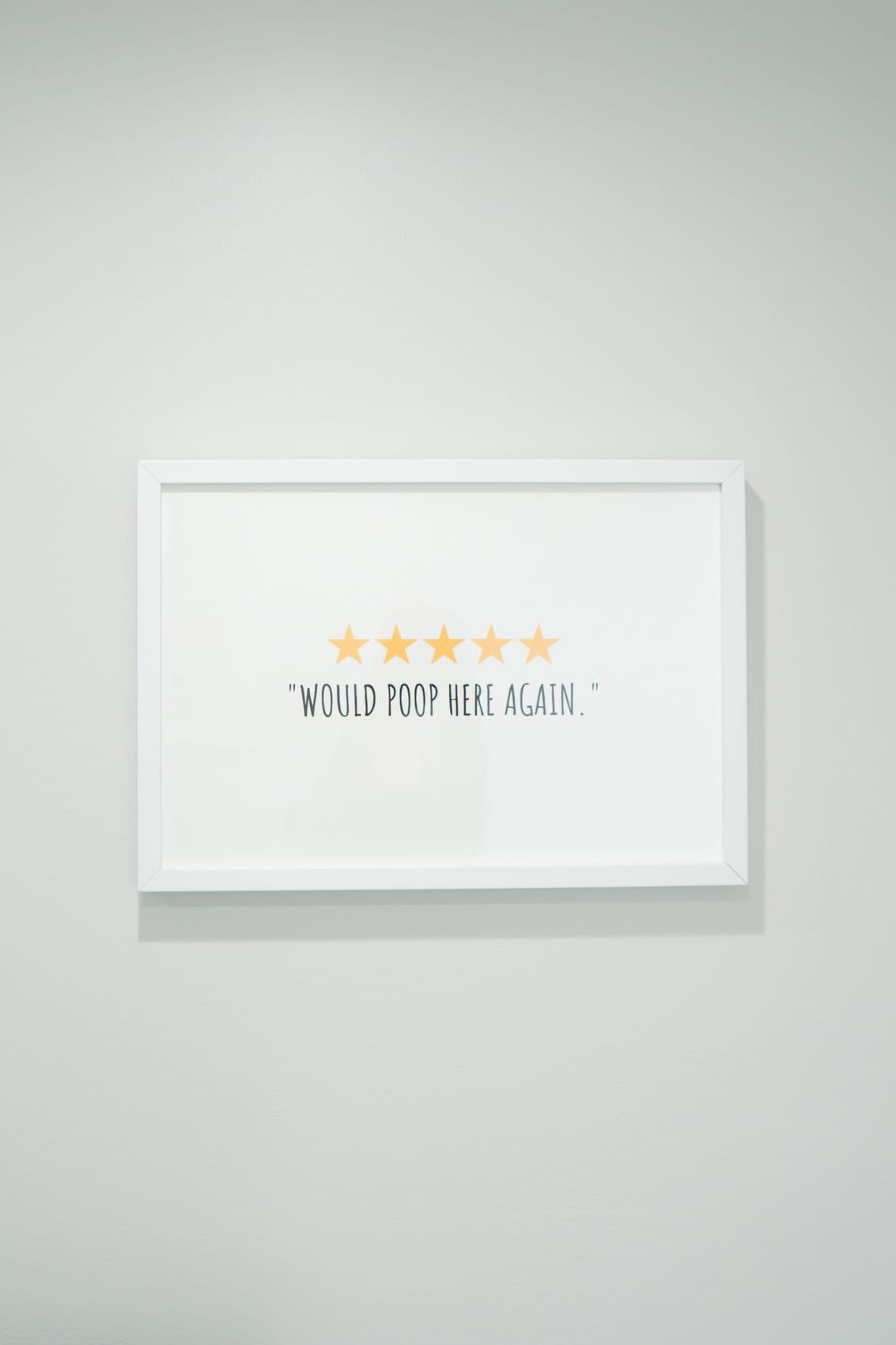 Framed print in the exam room reading five stars, would poop here again